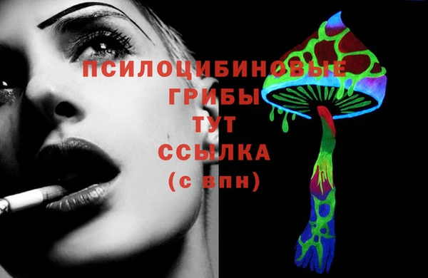 МДПВ Абинск
