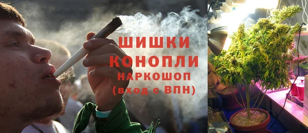 спайс Алексин